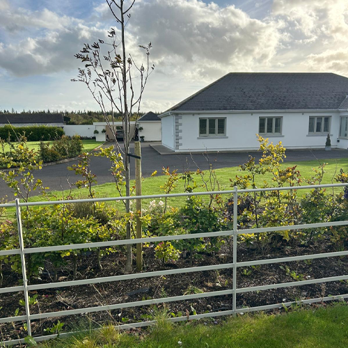 Windows Installation