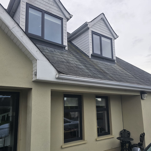 Window & Door Replacement